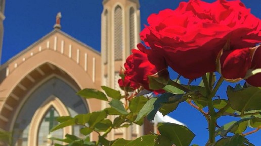 Paróquia Imaculada Conceição - Igreja dos Capuchinhos